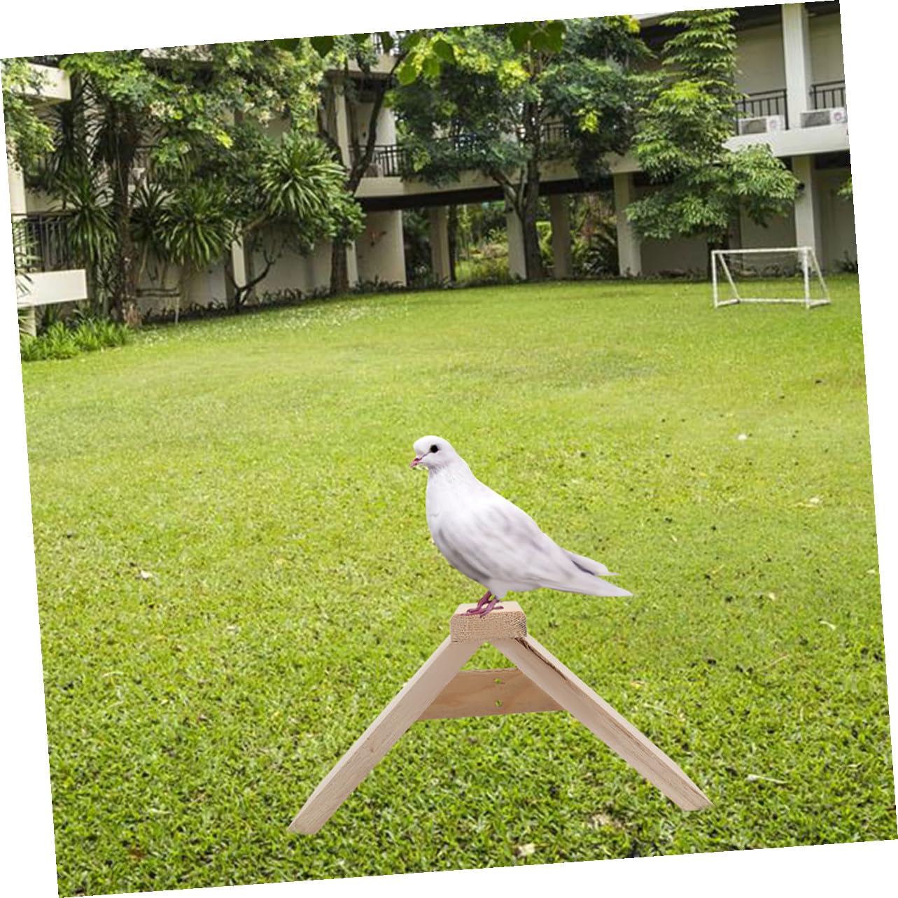 Perchas de Madera para Aves y Loros, Soporte de Descanso 5 Piezas | Color Caqui, Uso Doméstico y Zona de Juego, Accesorio para Aves de Compañía