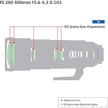 Amazon.com : Sony FE 200-600mm f/5.6-6.3 G Full Frame OSS