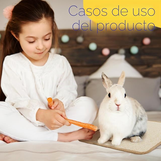 Foto 6 de 8 de 2 Cama para Conejos Sisal, Alfombrilla Rascadora para Conejos, Garras y Dientes para el Cuidado de los Dientes