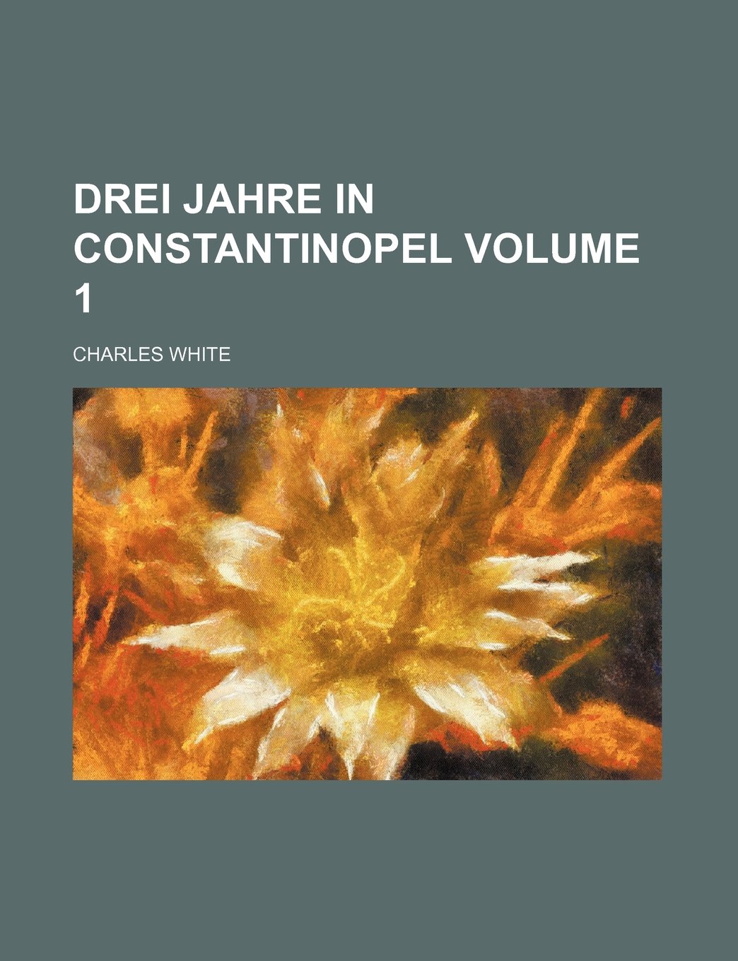 Drei Jahre in Constantinopel Volume 1