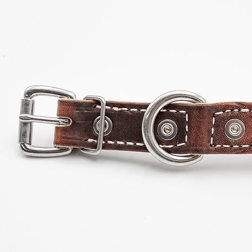 Miniatura 2 de Leerburg 's Amish Soft Latigo - Cuello de cuero de 1 pulgada de ancho (tamaños para cuellos de 15 a 21 pulgadas) con herrajes de acero inoxidable