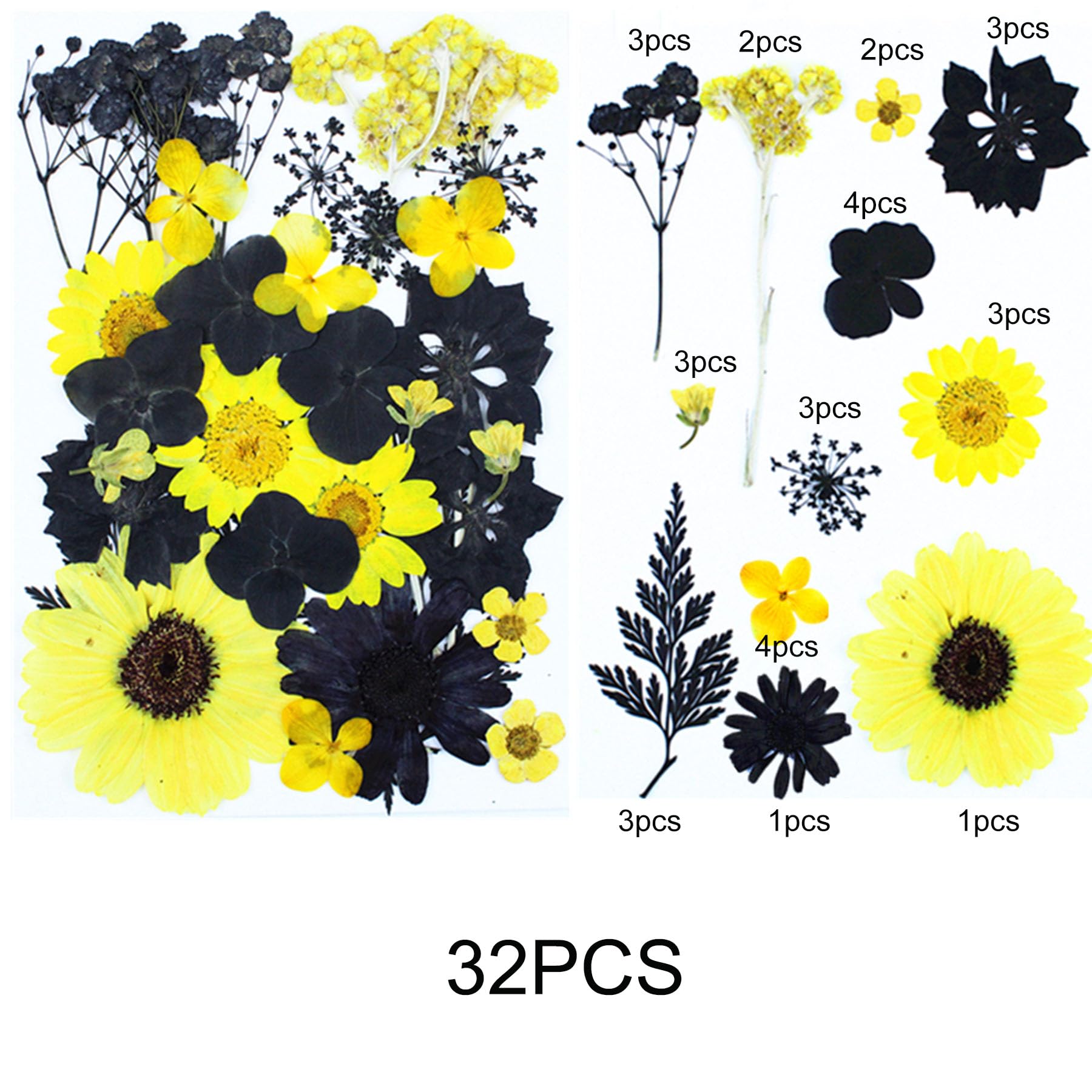 Woohome 4 Pack Dried Flowers for Resin Molds 85 Pcs Real Natural Dried Pressed Flowers - Image 4