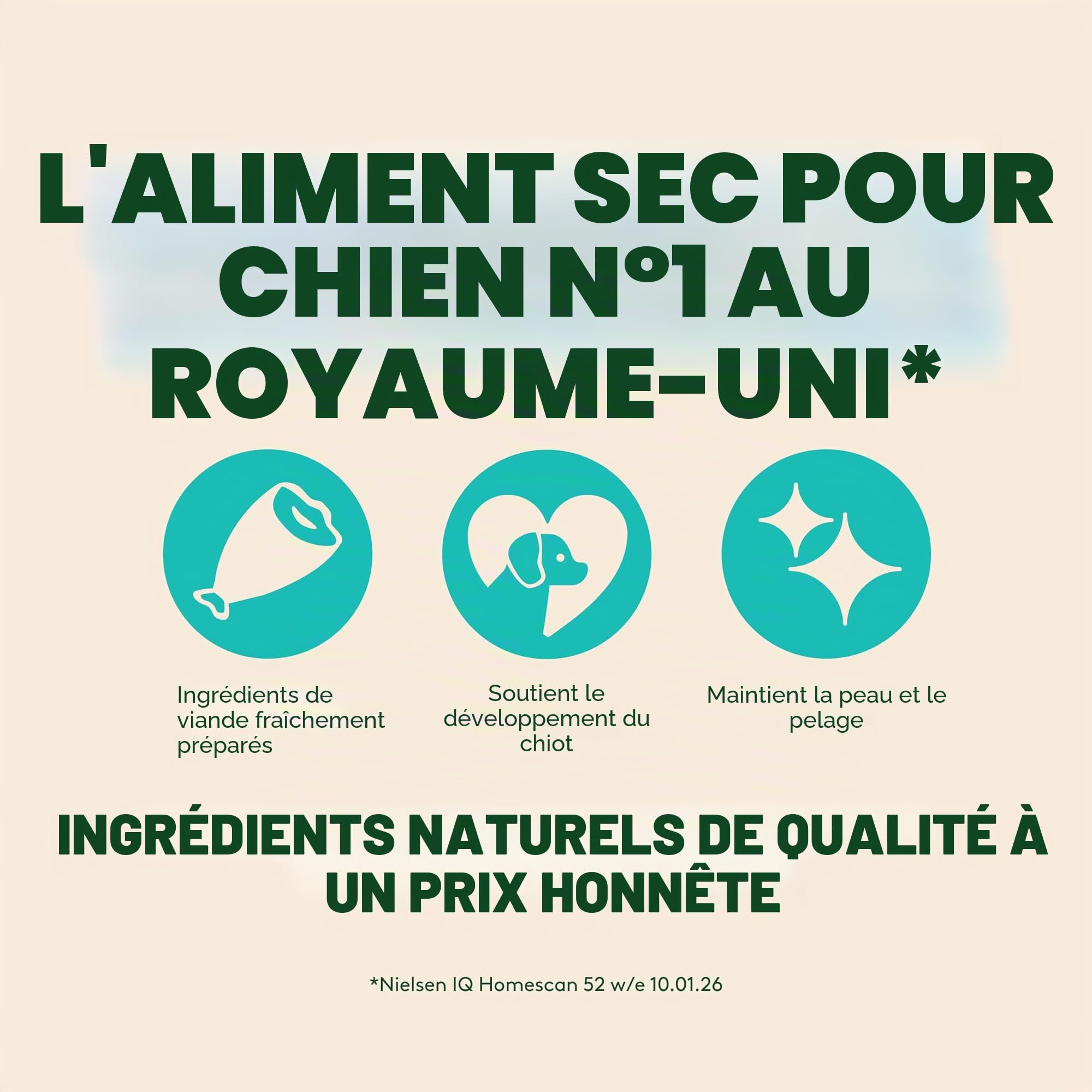 Harringtons Complete Puppy Nourriture pour Chien 10 kg