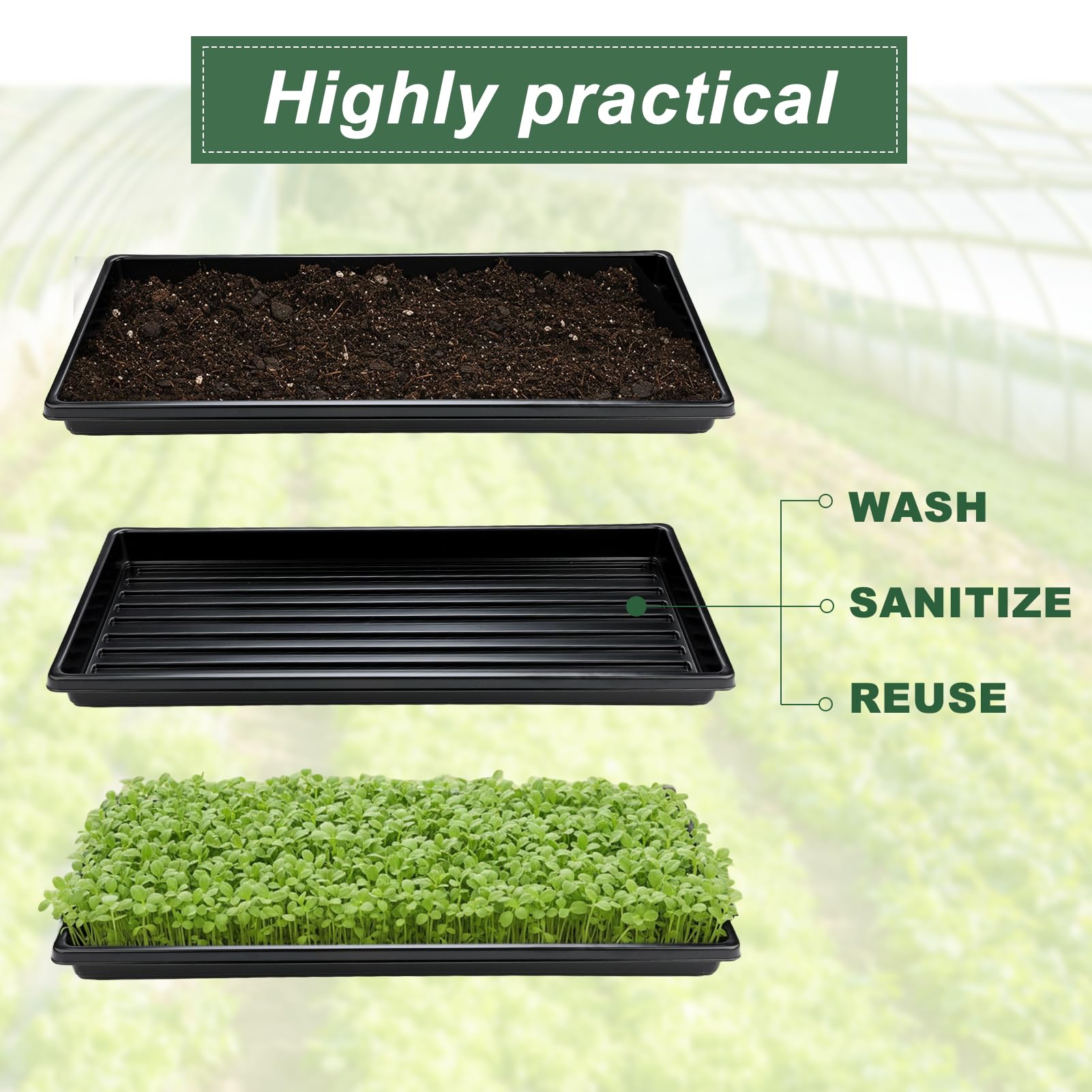 Lishang 6 Stück Kunststoffwanne Pflanzenwanne Gewächshauswanne Microgreens Anzuchtschalen Gewächshaus-Wanne Anzuchtschale Ohne Löcher Gewächshäuser und Garten Schwarz