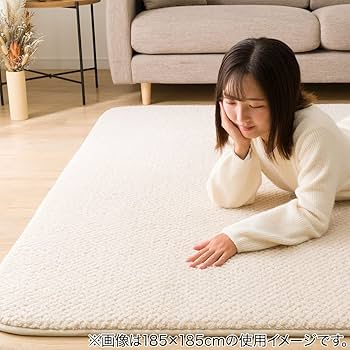 ラグ マット 絨毯 ニトリ 新品未使用 クッション ふわふわ カーペット Amazon｜ニトリ(NITORI) ふっくらクッションラグ シープボア n