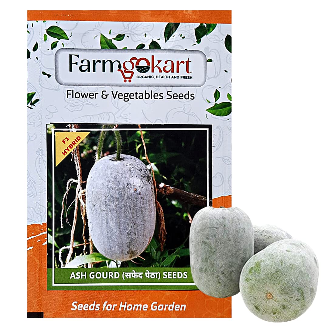 See full amazon price history chart for FARMGO 5 Gms - ASH GOURD HYBRID F1 SEEDS Vegetable Seeds for Home Gardening, Farming, Hydroponics and Poly Houses FARMGO 5 Gms - ASH GOURD HYBRID F1 SEEDS Vegetable Seeds for Home Gardening, Farming, Hydroponics and Poly Houses (B0BX6QZ559) Amazon Price History, Amazon Price Tracker