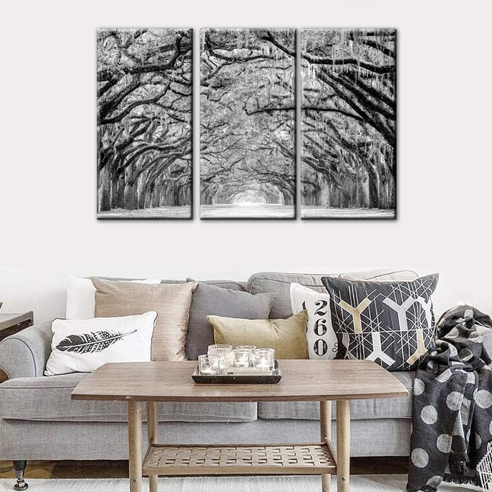 Tор Brаndѕ TUMOVO 3 Panels Black White Tree Canvas Wall Art - Oak Trees are Draped with Spanish Moss Landscape Canvas Pictures for Wall Framed Painting for Bedroom Living Room Office Ready to Hang(28''x42'') Frее Shірріng оƒƒеr TUMOVO 3 Panels Black White Tree Canvas Wall Art - Oak Trees are Draped with Spanish Moss Landscape Canvas Pictures for Wall Framed Painting for Bedroom Living Room Office Ready to Hang(28''x42'')