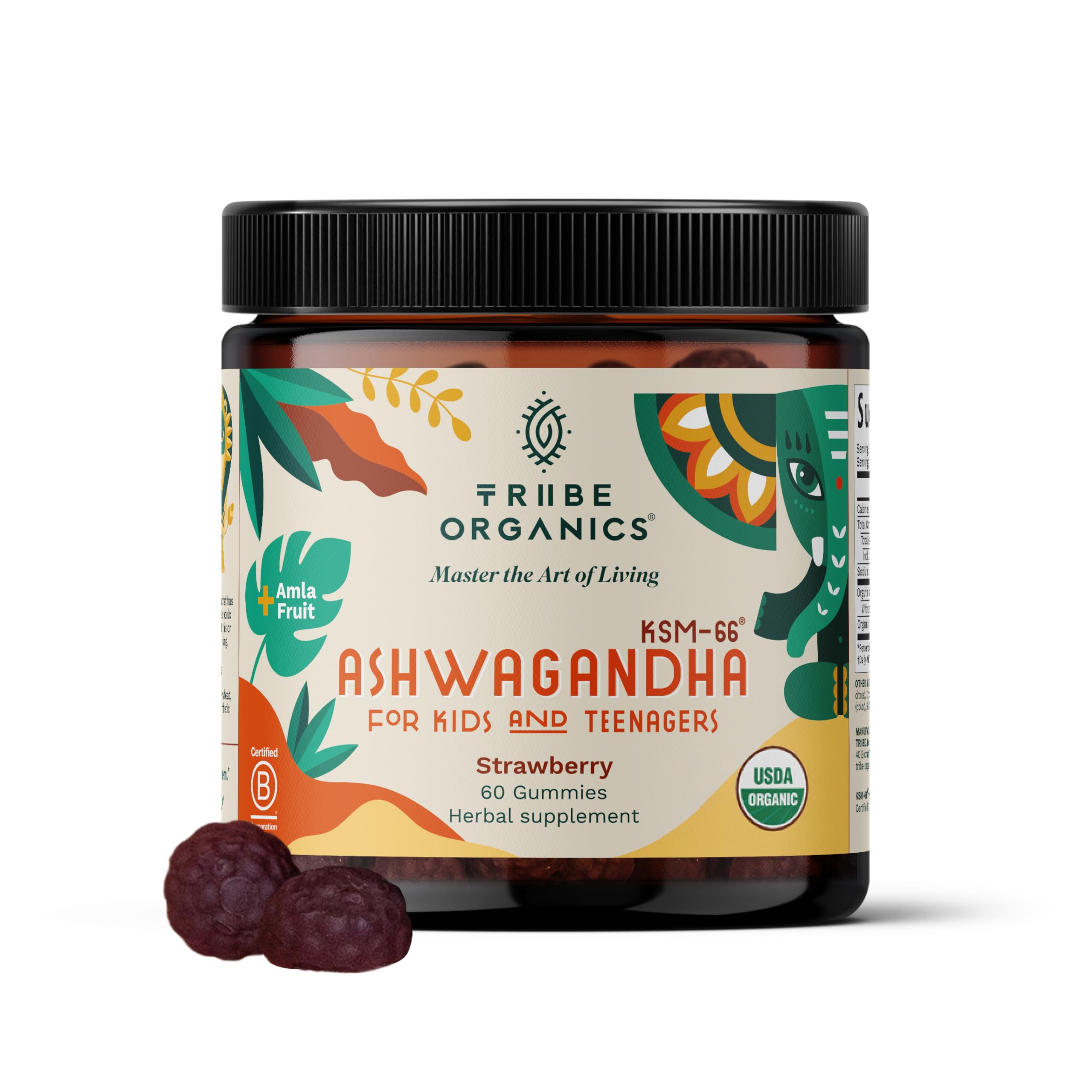 Ashwagandha KSM-66 Gummies for Kids & Teens - Pure Organic Root Extract Ayurvedic Supplement Gummy - Focus Mood Support Increase Energy Strength 600mg of Natural KSM66 for Superior Absorption