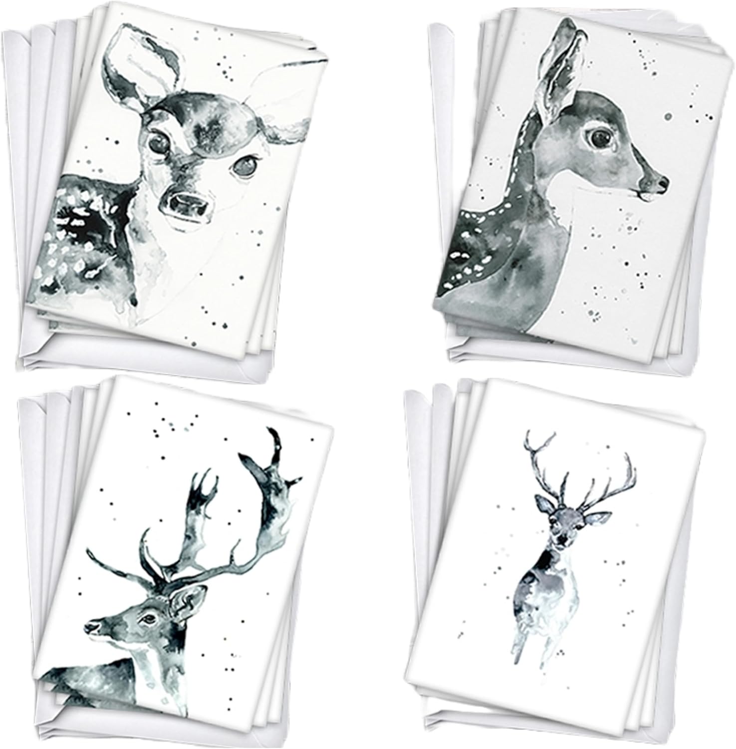 Wright Home & Gift Watercolor Black White Deer All-Occasion Blank Note Greeting Cards | 24 Pack Assortment Bulk Variety Set + 24 Envelopes (4x6)