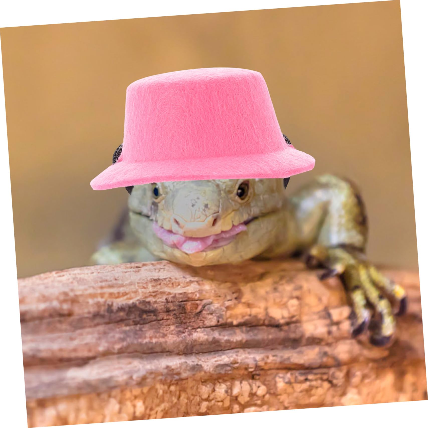Beaupretty 5juegos Correa y Arnés Ajustable para Reptiles Gorra y Pajarita Kit Completo para Caminar Lagartos Al Aire Diseño Creativo para Mascotas