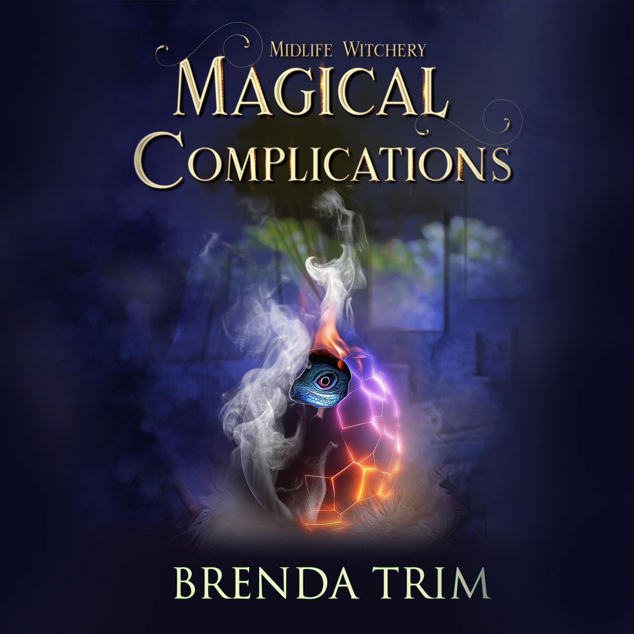 Cover art for Magical Complications