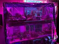 Review Image by Floriginian Floriginian