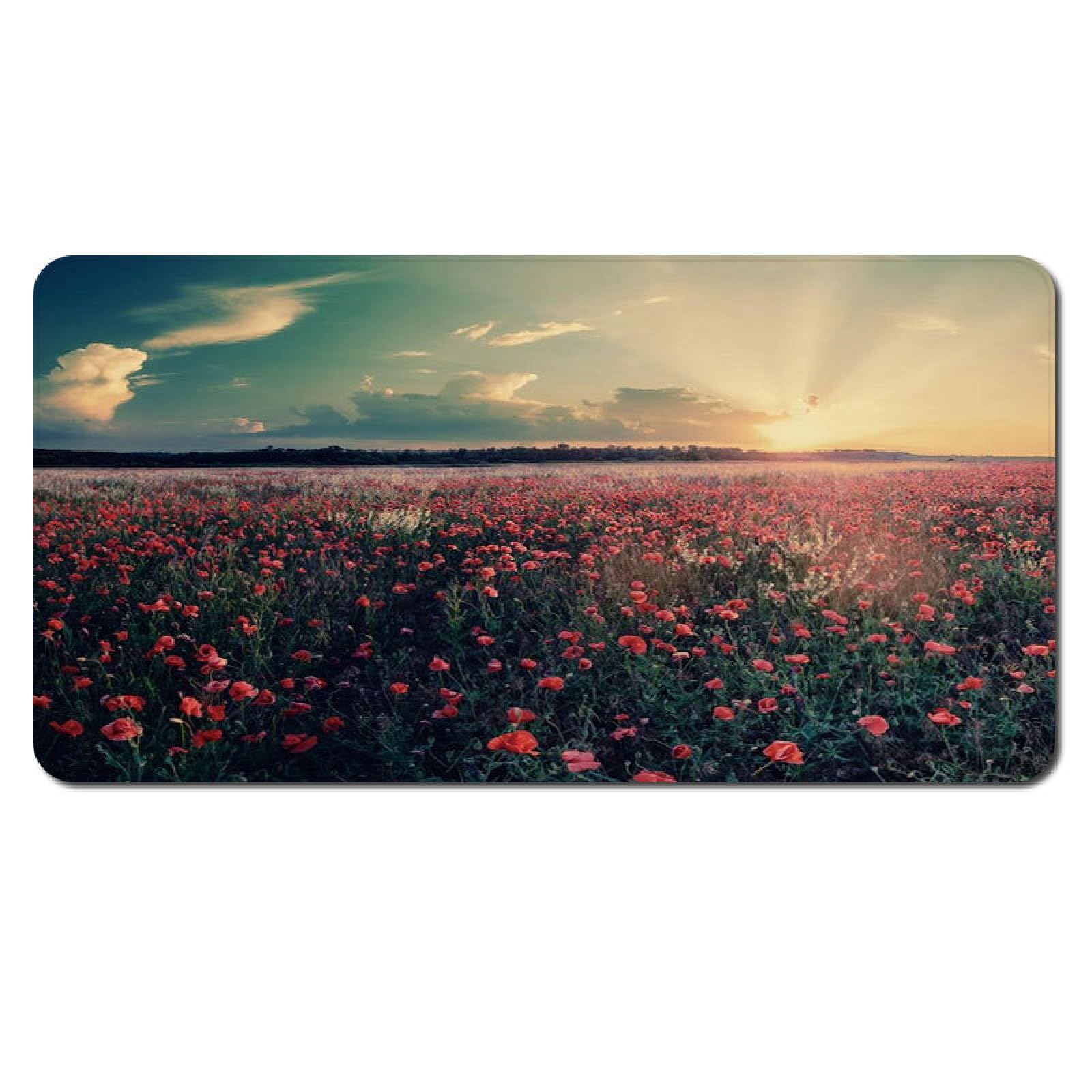 Tapis de couloir antidérapant et grand paillasson de chambre lavable 100x150
