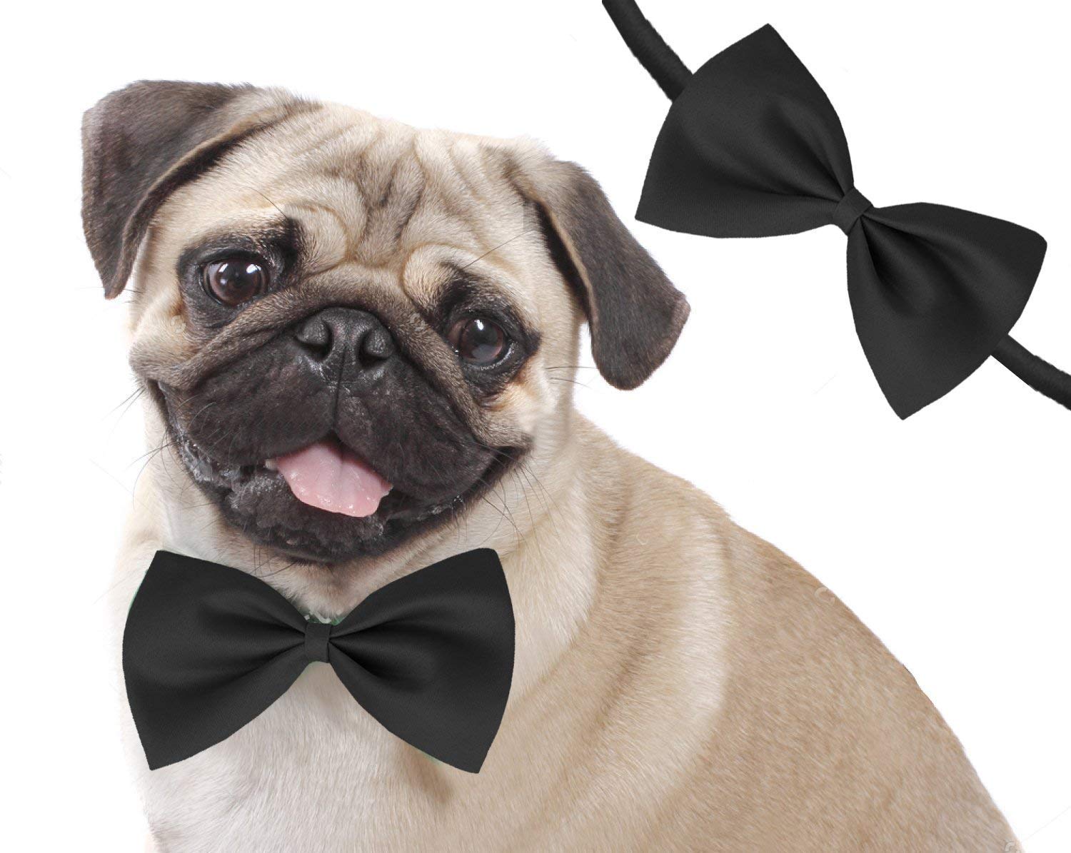 Bow for a dog Clearance