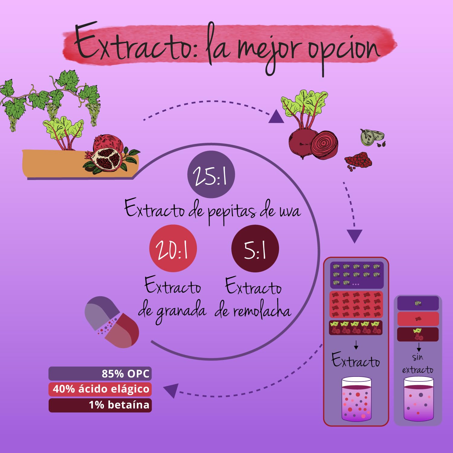 OPC | 12.500 mg de Extracto de Semilla de Uva | Antioxidante Natural para Circulación | Alta Dosis de Uvas Italianas | Vegano & Sin Pesticidas | Vegavero