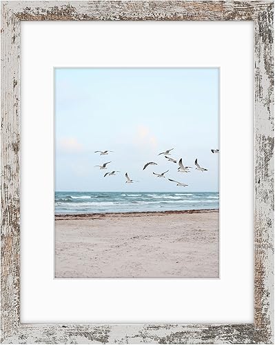 Vista 94 de Frametory, Los marcos de 16 x 20 pulgadas muestran imágenes de 11 x 14 pulgadas con paspartú o fotos de 16 x 20 pulgadas sin paspartú, vidrio Plata