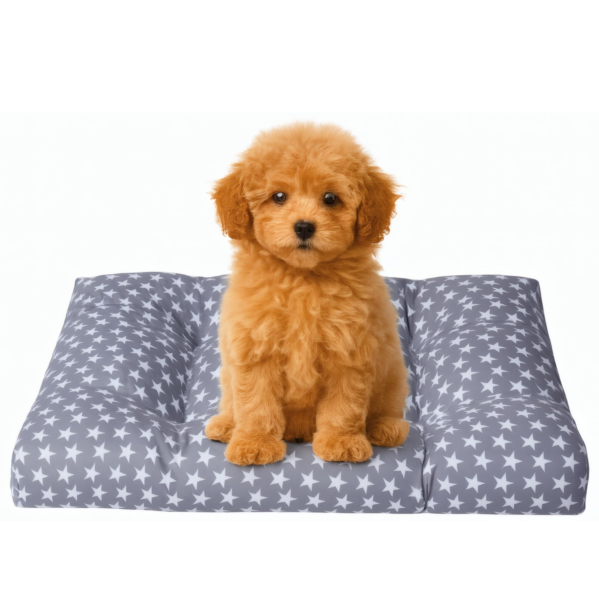 Small Dog Bed – Soft and Breathable Fibre Mattress – Resistant Anti-Pile Canvas Fabric – Non-Slip Base – Washable and Lightweight – Made in Spain 50 x 70 x 8 Stars + Cotes