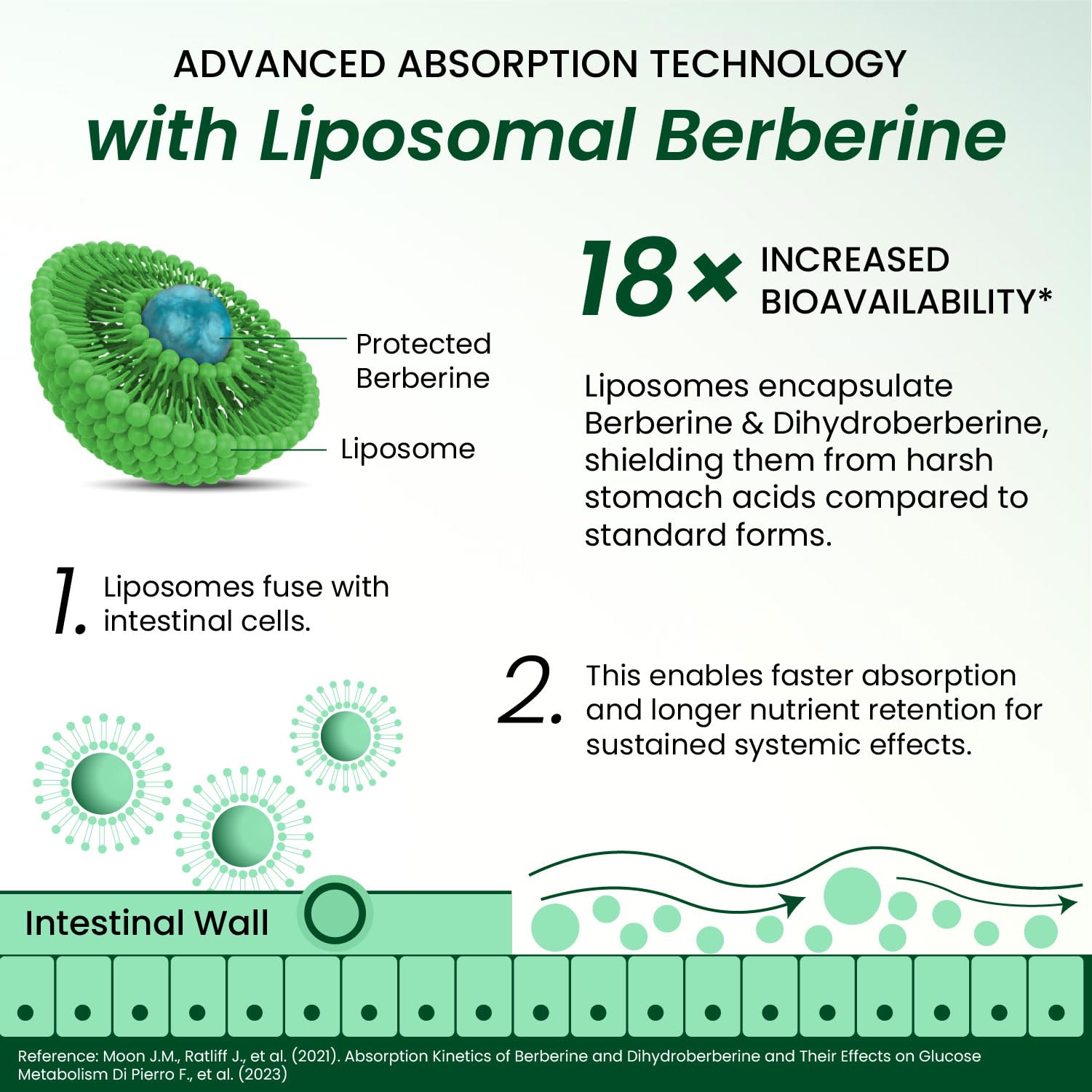 Vlado's Himalayan Organics Liposomal Berberine HCL+ 1500mg+ with Piperine, Chromium , Bitter Melon, Bael, Gudmar & Vitamin B12 |For Metabolism, Hormonal Balance, Healthy Blood Sugar & Cholesterol Levels | 60 Veg Tablets 1