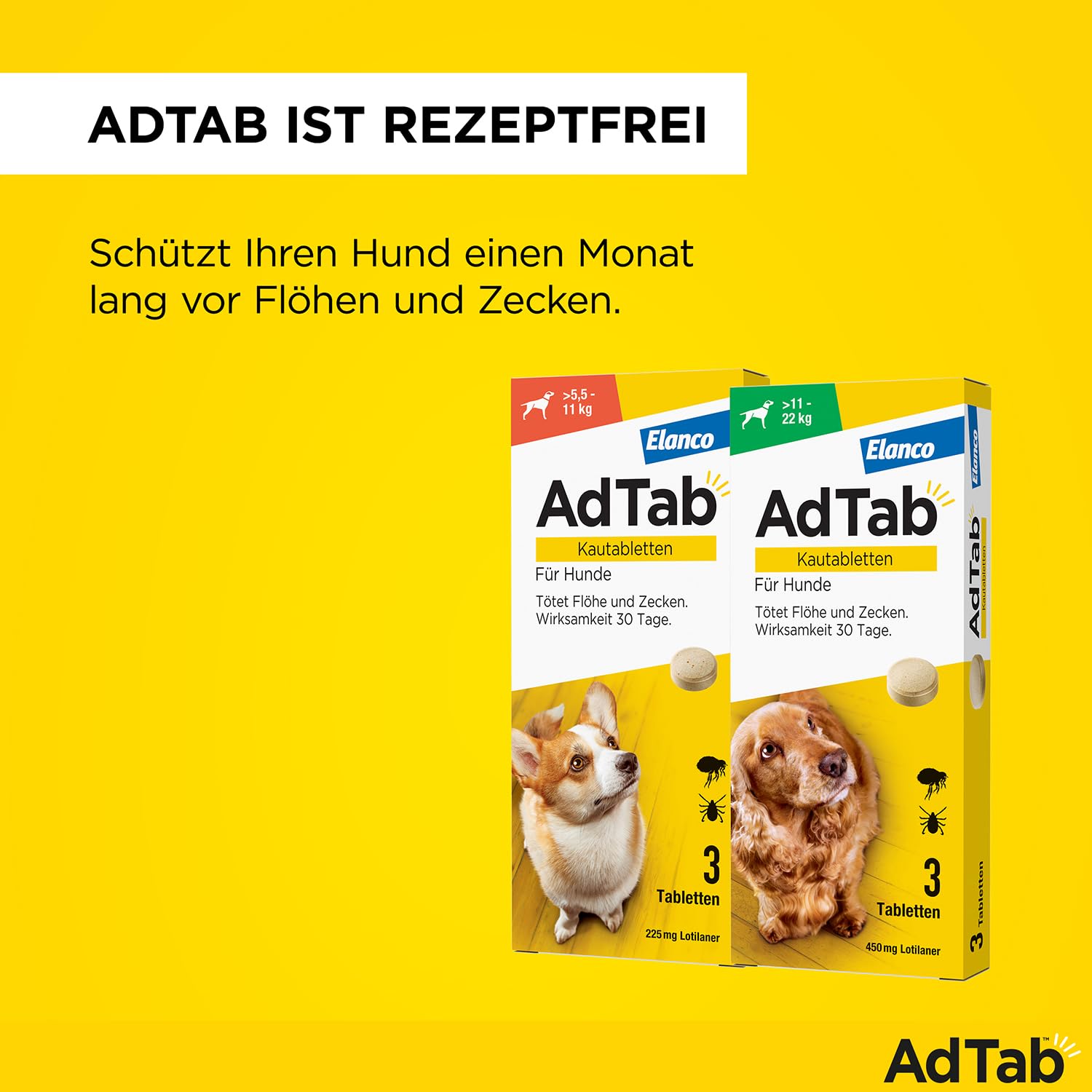 AdTab Kombi-Set: Zecken- & Flohschutz für 2 Hunde in verschiedenen Größen (>5,5-11 kg & >11-22 kg), 2 Packungen mit je 3 Kautabletten, einfach zu verabreichen & schmackhaft