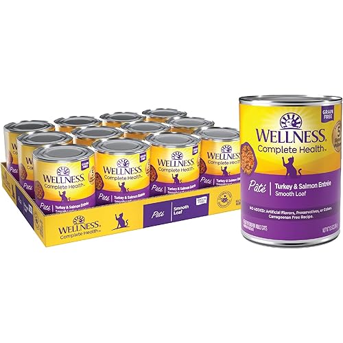 Wellness Complete Health Pate Adult Wet Cat Food, Natural, Protein-Rich, Grain Free, 12.5 Ounce, 12 Pack, (Turkey & Salmon)