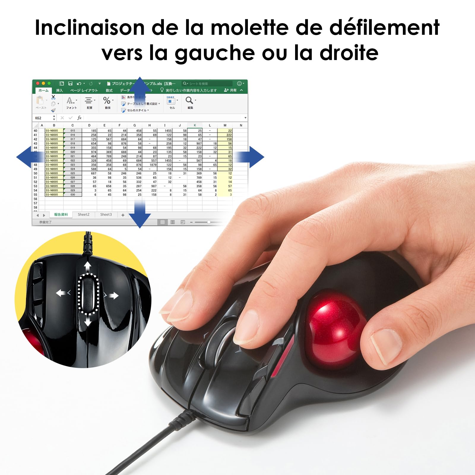 SANWA Souris Trackball Filaire, Molette de Défilement 4 Directions, 6 Boutons Programmables, 400-1600 DPI, Repose-Doigt, Réduction des Douleurs au Poignet, Compatible avec Windows, Mac, PC, Noir