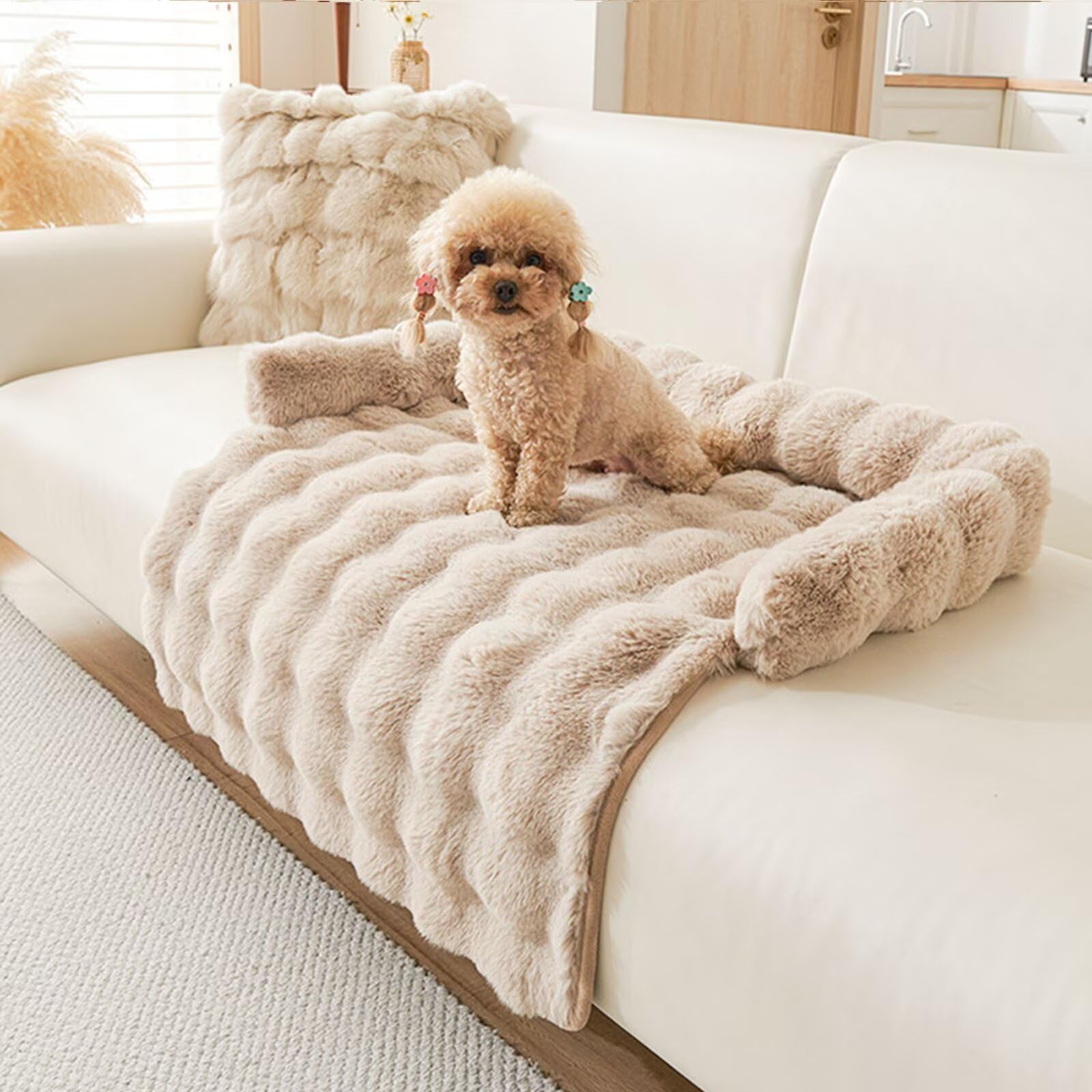 kuchenuten Hundebett Flauschig, Katzenbett, Hundedecke Sofa mit Rand, Waschbar Haustierbett, Hundebetten rutschfest, Katzensofa Katzennest für Katze Kleine Hunde, 75x75cm, Kaffee