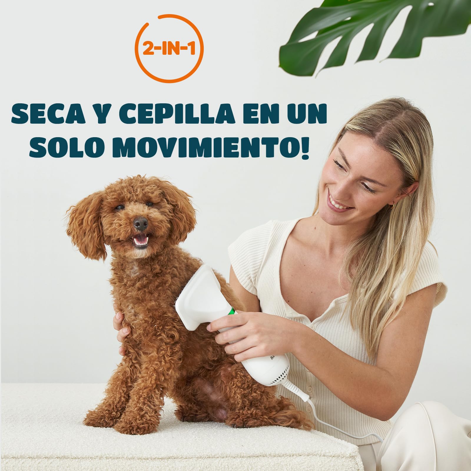 Secador de Pelo para Mascotas | Secador de Pelo Portátil y Silencioso 2 en 1 con un Cepillo Práctico | Temperatura Ajustable | para Perros y Gatos Pequeños y Medianos