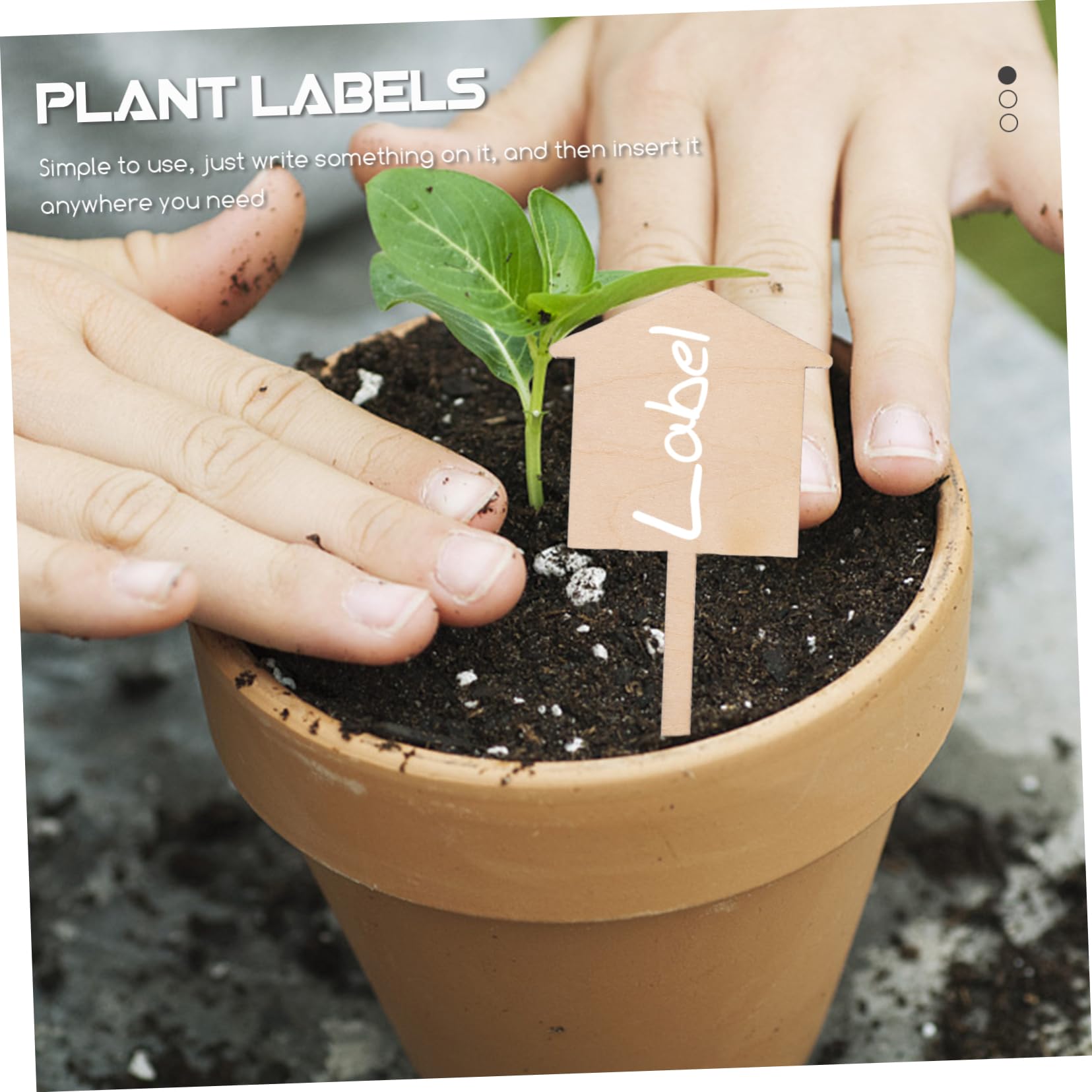 Toddmomy 150stücke Pflanzenschilder Leichte Gartenmarker Für Pflanzenklassifikation Und Dekoration Für Blumenbeete Und Topfpflanzen