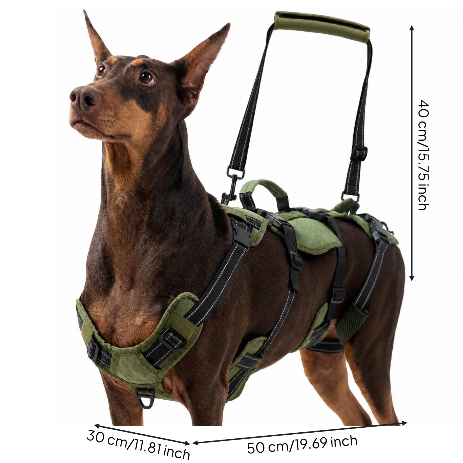 KESOTO Imbracatura per Cani con Maniglie Sicuro | Imbottito, Imbracatura di Riabilitazione, per Passeggiate All'aperto, Verde Militare, XL