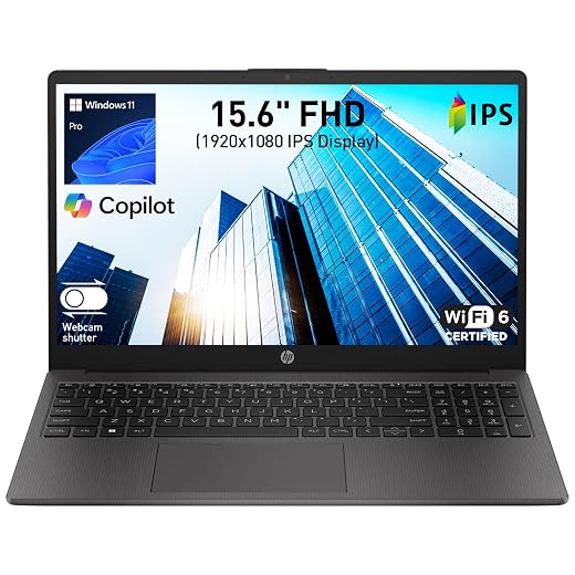 HP 255 G10 Business Laptop for Lightweight Professional Workflow