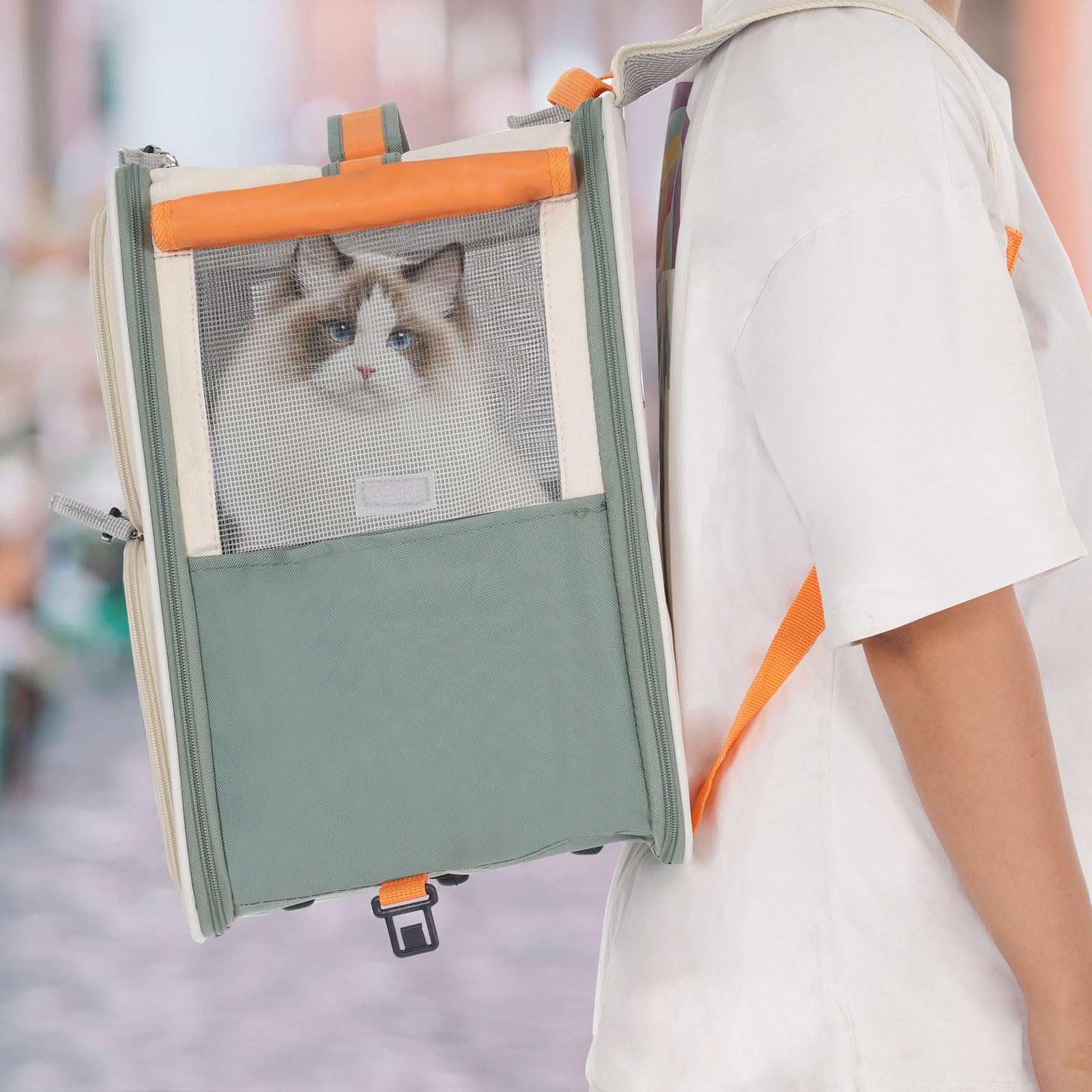 Haustier Transporttasche mit Rollen 37*27*42cm Tiertransport Rucksack Tragfähigkeit 12.5kg Katzen Transporttasche herausnehmbare Trennung Transportbox für Haustiere Hunderucksack Katzenrucksack