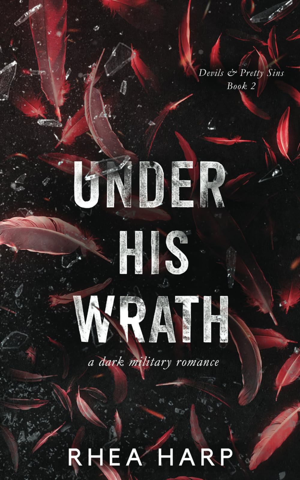 Under His Wrath: A Dark Military Romance