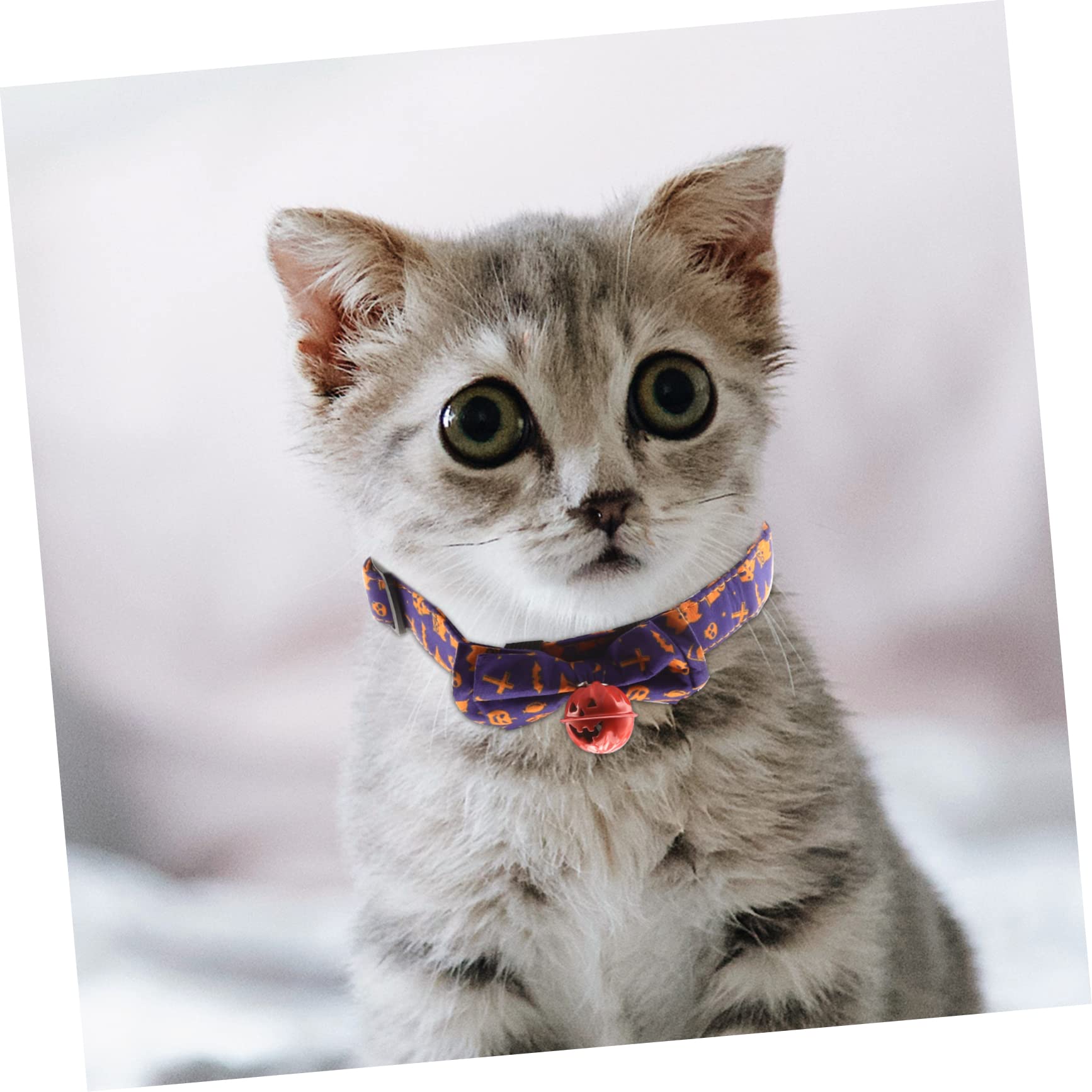 Sosoport 5pezzi Collare Decorativo Per Cani e Gatti Halloween Con Design Tema e Confezione Da Accessorio Festivo Per Animali Domestici Per Foto e Feste Di Halloween