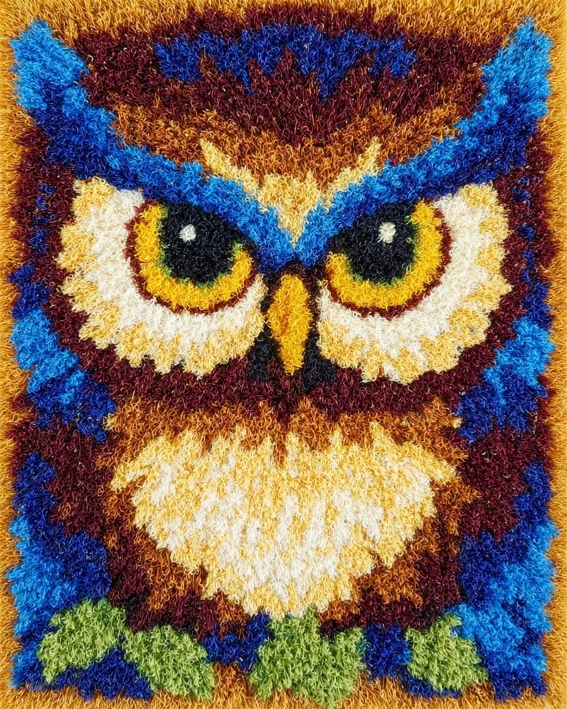 FWRTYCB Latch Hook Rug Kits, DIY Latch Hook Rug,Owl Home Carpet Rug Making Canvas Kits,20X15Inch DIY Crochet Kits Embroidery Kits Needlework Crafts for Home Decor, Latch Hook Kits for Beginners Kids