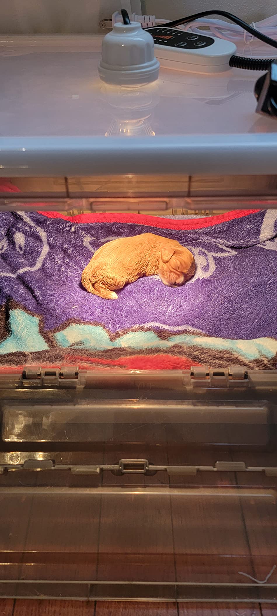 15/mo Finance HKDQ Puppy Incubator,Puppy Incubator with Heating