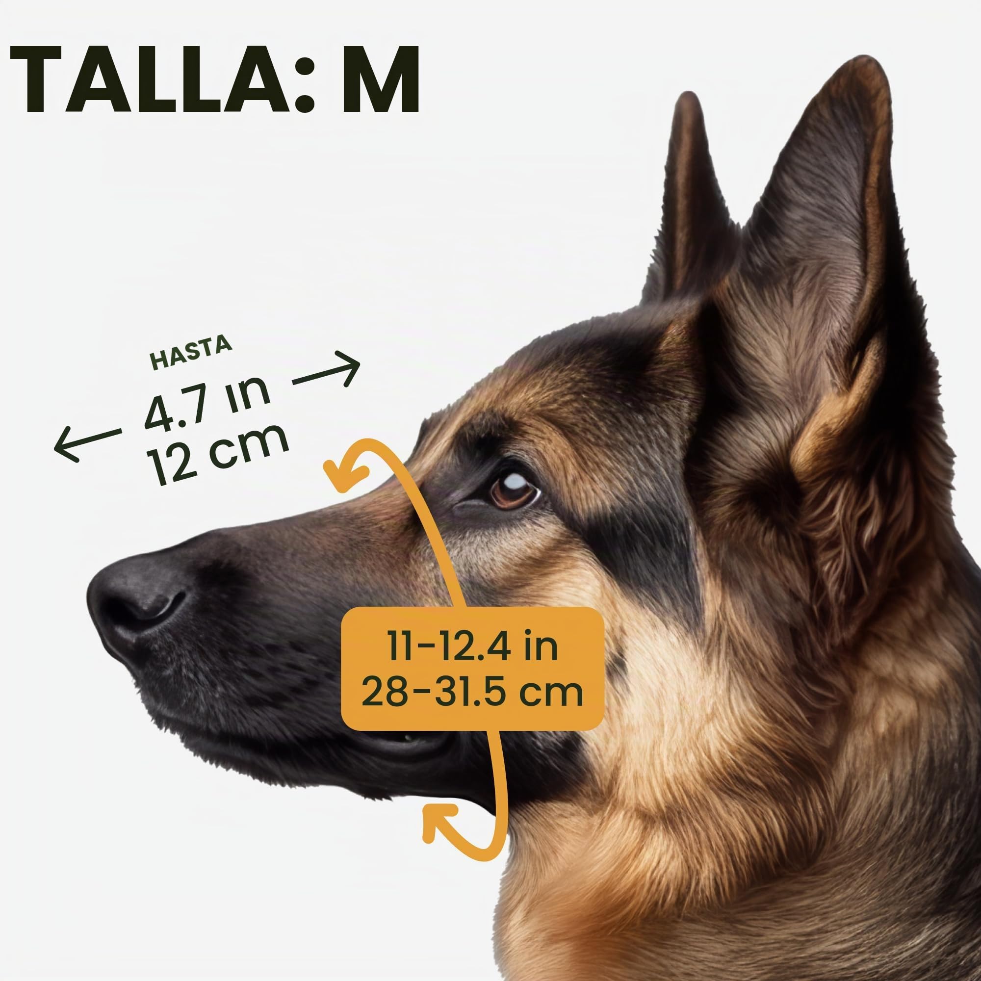 BRONZEDOG Bozal de Alambre para Perros de Pastor alemán para Perros medianos y Grandes, Cesta de Metal Duradera Ajustable para morder, Masticar ladridos (M)
