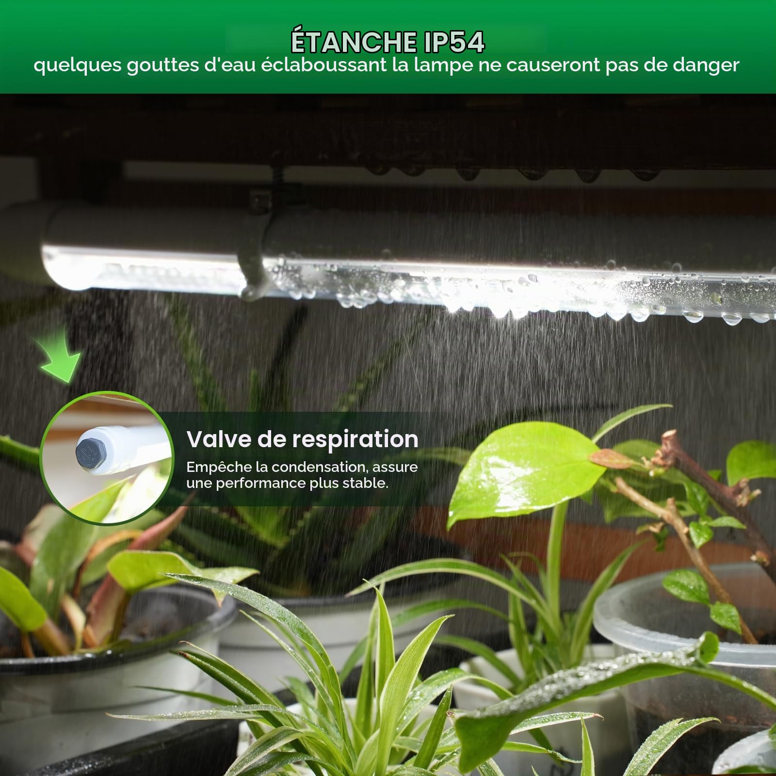 SANSI Lampe Horticole à Spectre Complet T8 25W, Tube 60cm, IP54 Etanche | Pour plantes d'intérieur, idéale pour les semis, la croissance des plantes, les serres et les étagères à plantes, 4000K