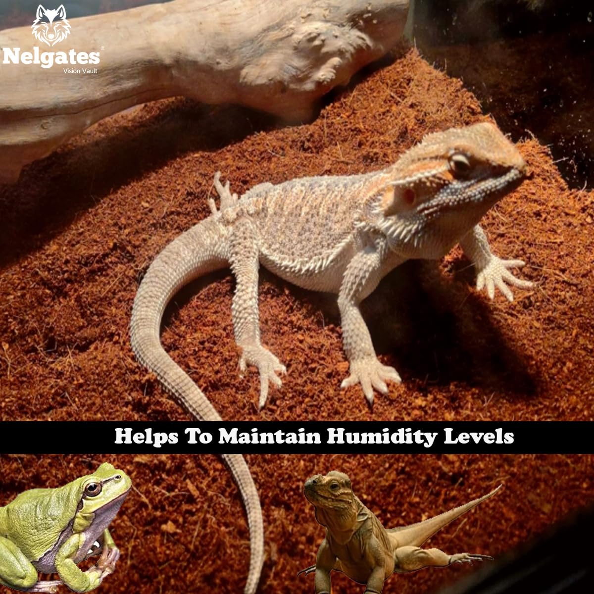 Nelgates Coco peat for Reptiles Bedding 5kg Coco peat Terrarium Substrate for Ball Python Frog Snake Gecko Hermit Crab Tortoise 3