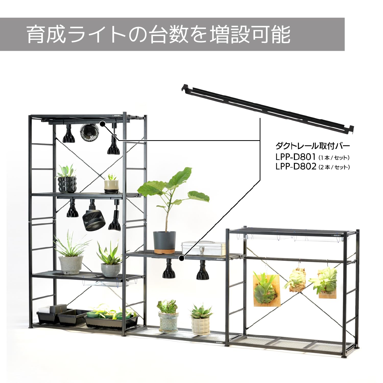 BIBILAB ビビラボ ビザールプランツラック LP セット ダクトレール付き Amazon.co.jp: BIBIPLANTS(ビビプランツ) ビザールプランツラック