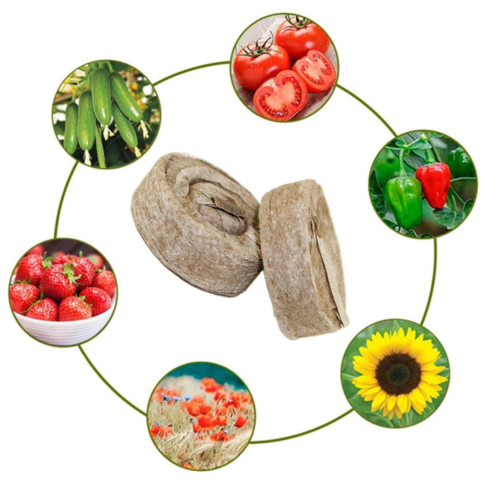 Cápsulas Germinadoras Para Plantas | 10 Unidades De Bloques De Nutrientes Comprimidos Para Sustrato - Sustrato Comprimido Para Siembra Con Bloqueador De Tierra Accesorios De Jardinería Para Macetas Ex