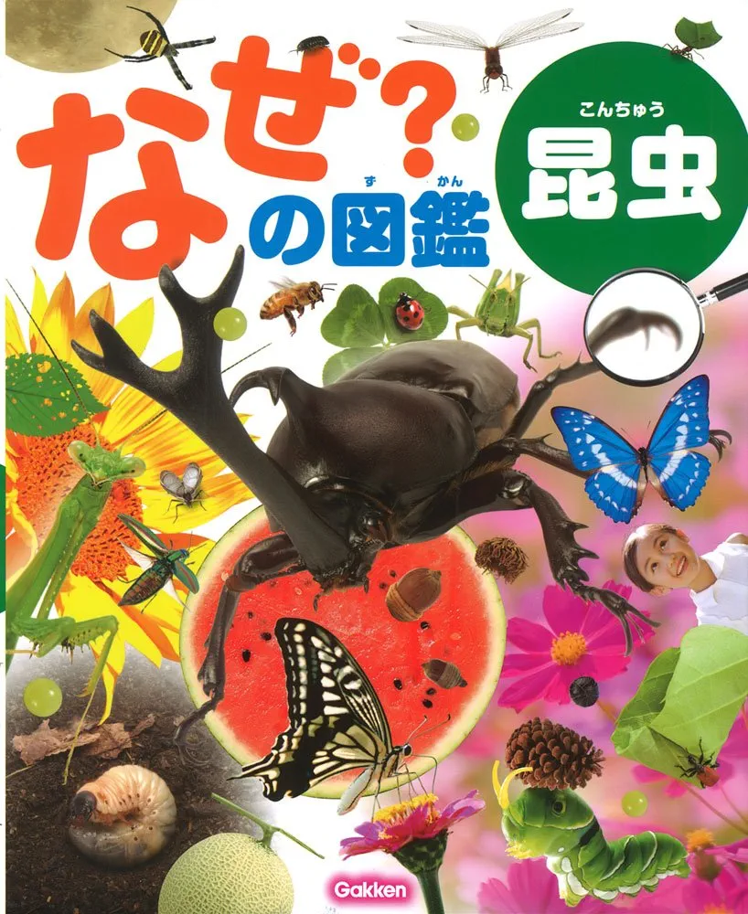 なぜなぜ図鑑 なぜなぜ？ ふしぎ図鑑 なんでも200｜チャイルドブック公式