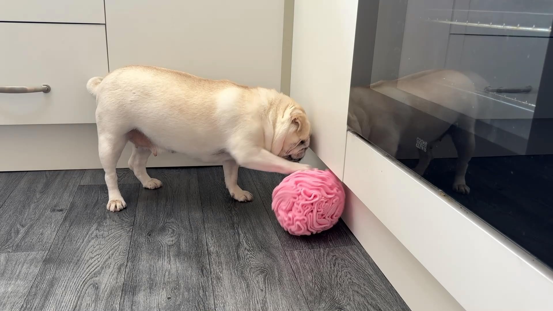 Glory To Dog Średniej rasy snuffle interaktywne żerowanie pies puzzle piłka zabawka różowa duża