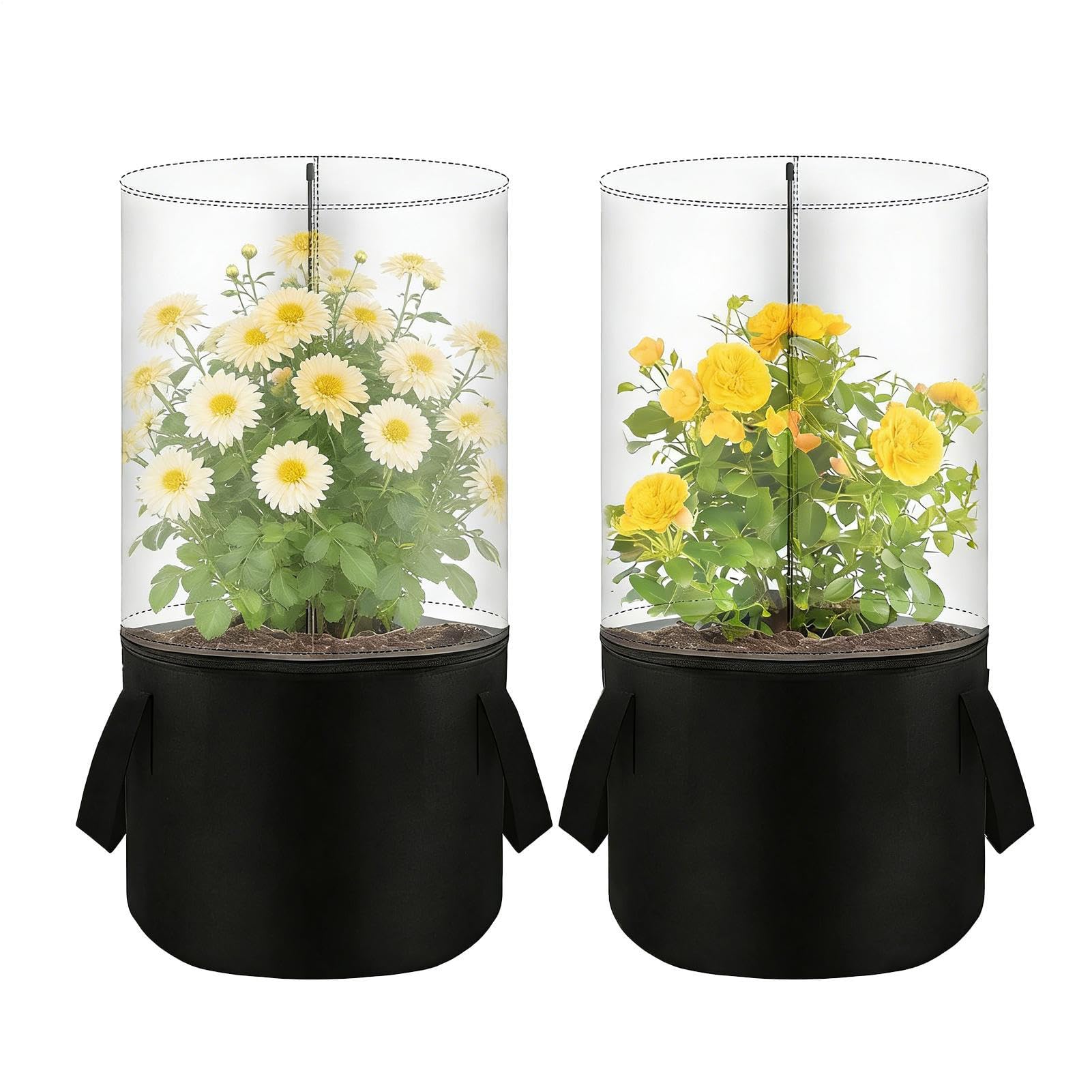 Serre d'intérieur haut de gamme et mini cache-pot de fleurs