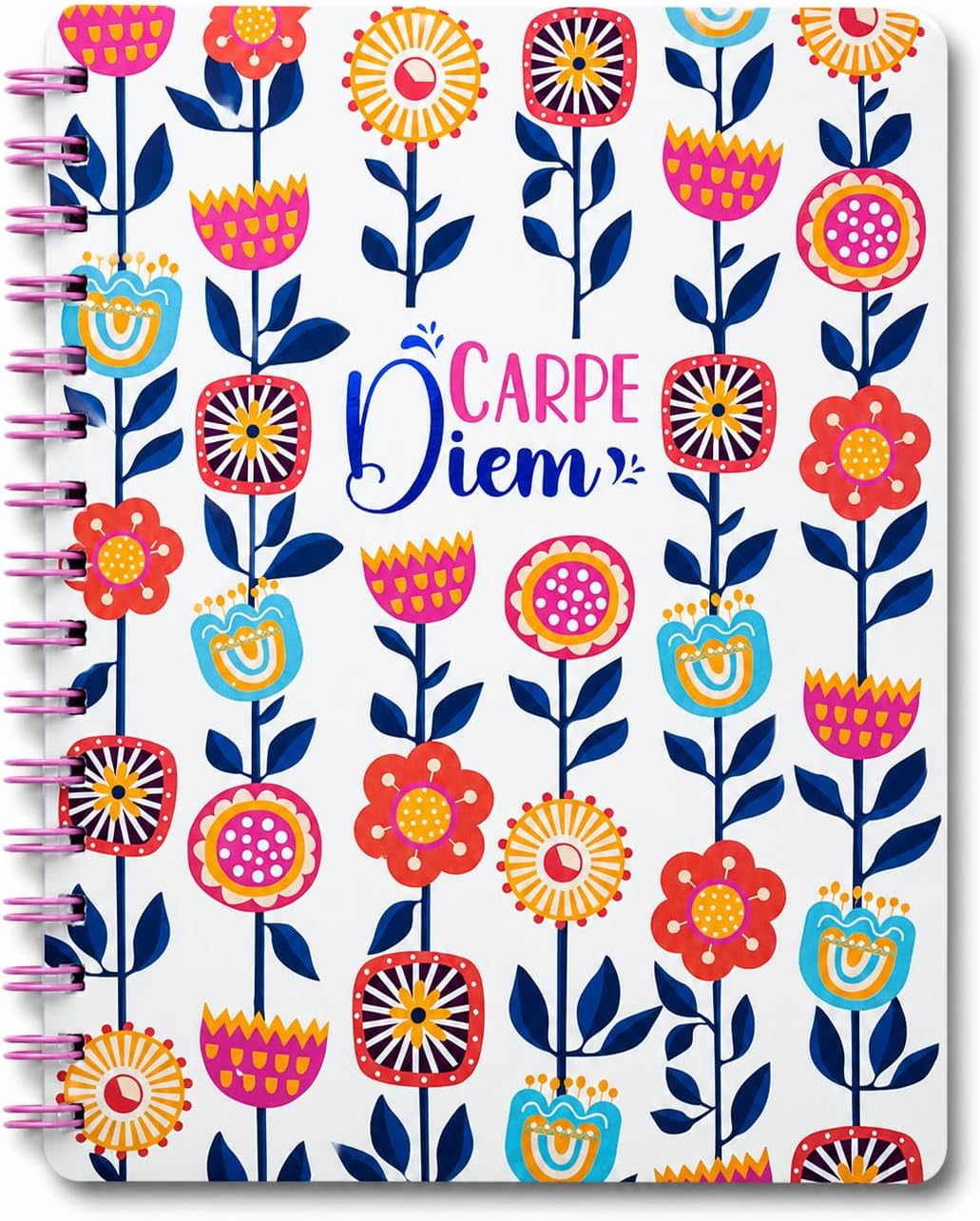 DOODLE B5 Hardbound Spiral Notebook Diary | 160 Undated Ruled Pages | 80 gsm Acid Free Paper | Open Flat and Write Comfortably - Carpe Diem
