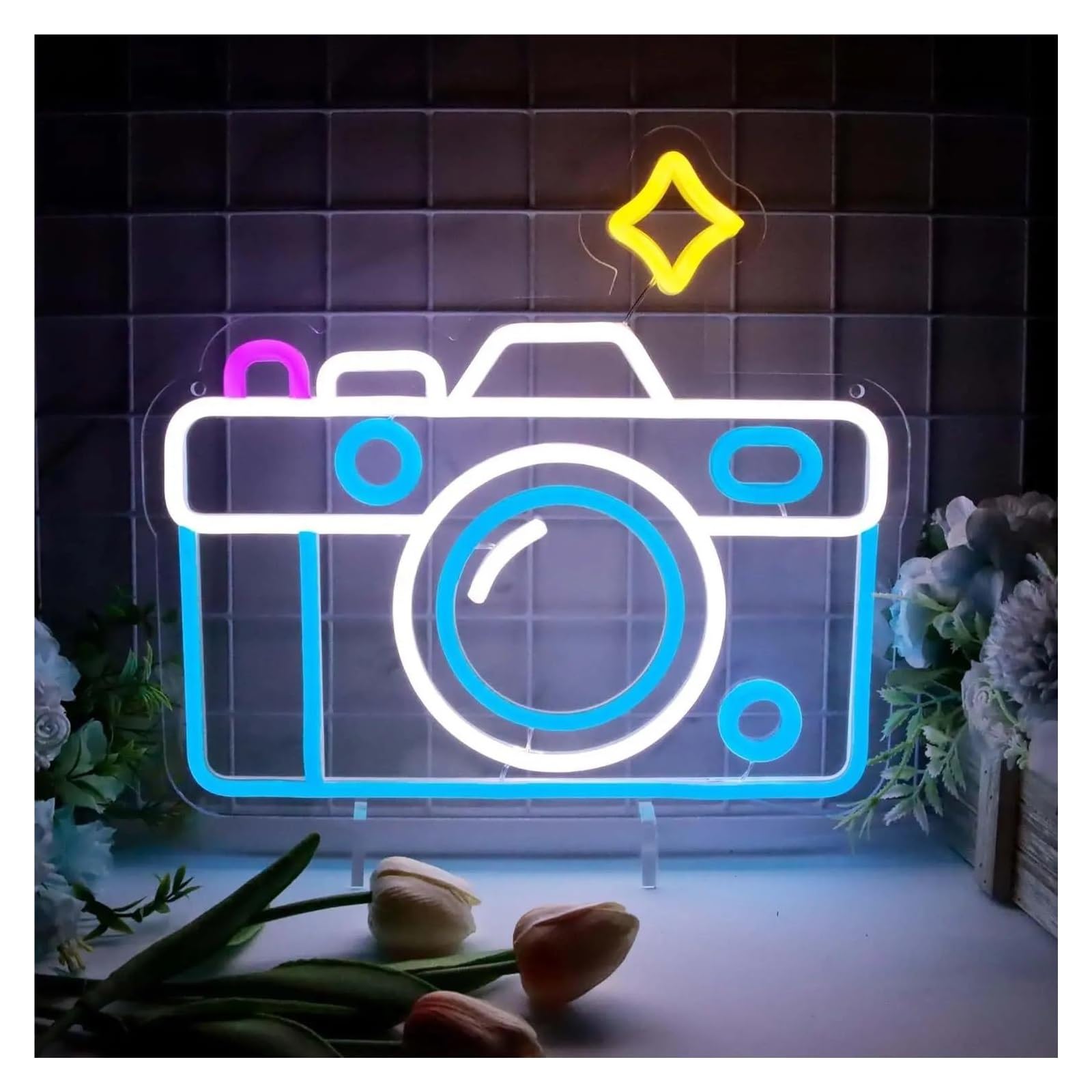 BYAMBD Photography Camera Neon Light Sign, LED Lights, Illuminated Signs for Wall Decor, Bedroom, Family Room, 34cm x 31cm, Plastic