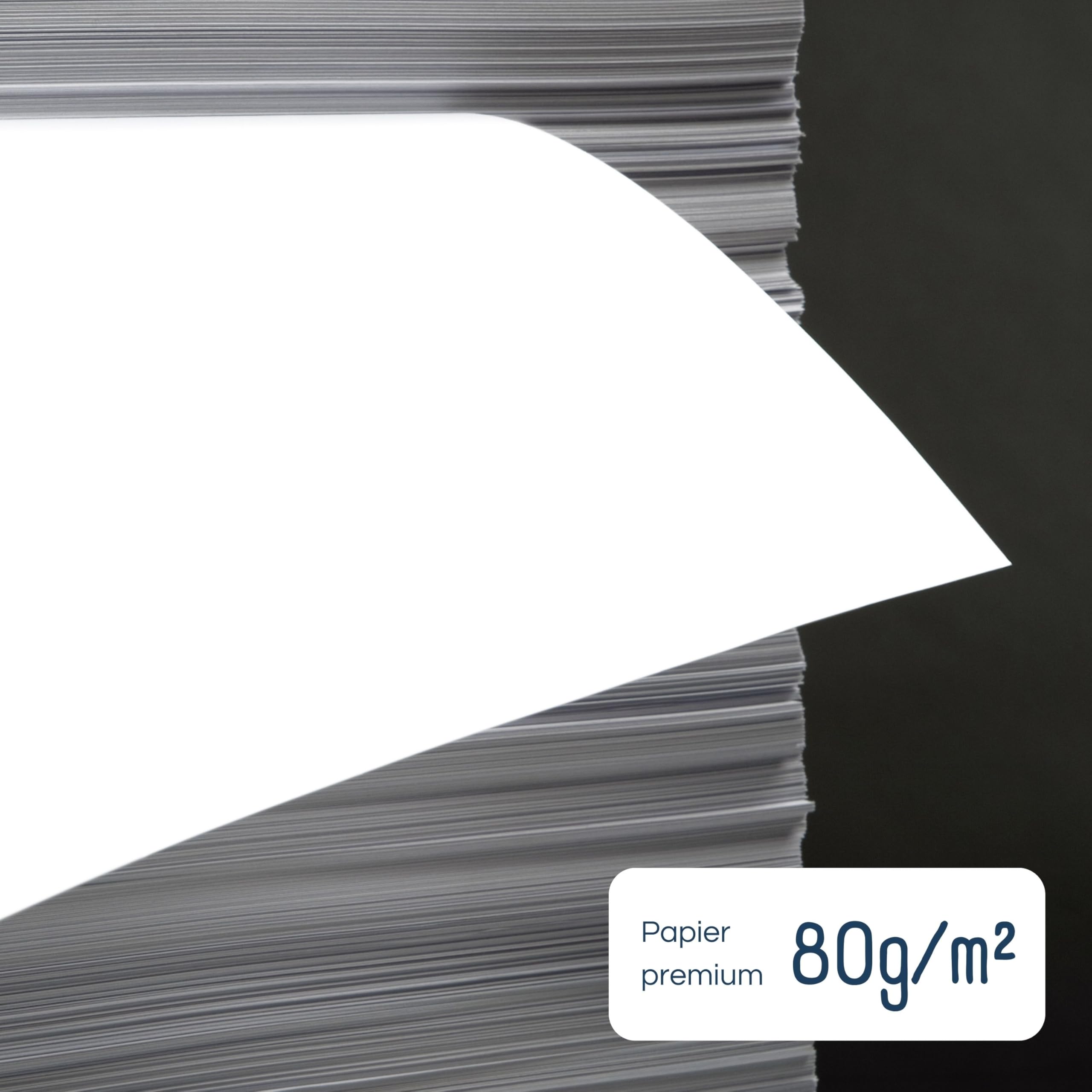 Raylu Paper - Papier A5 Multiusage 5000 Feuilles 80g pour Imprimantes Laser, Jet d'Encre et Photocopieurs, pour Bureau et Maison (A5, 5000 feuilles)