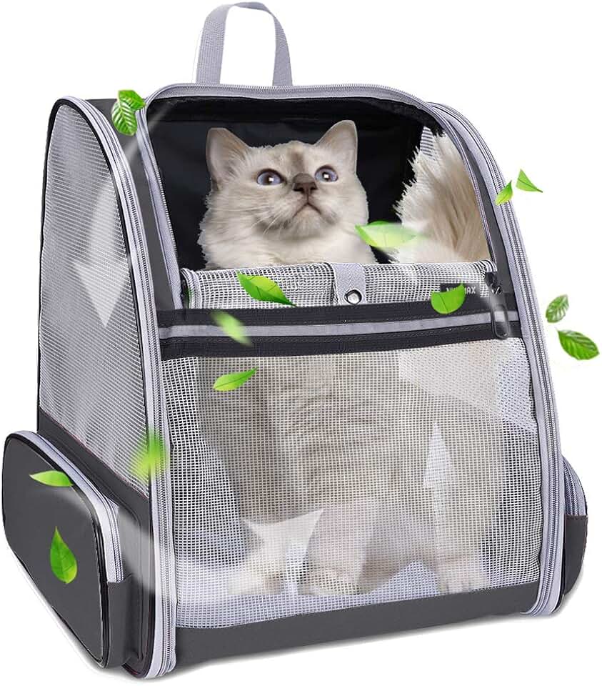 Amazon.ca cat backpack