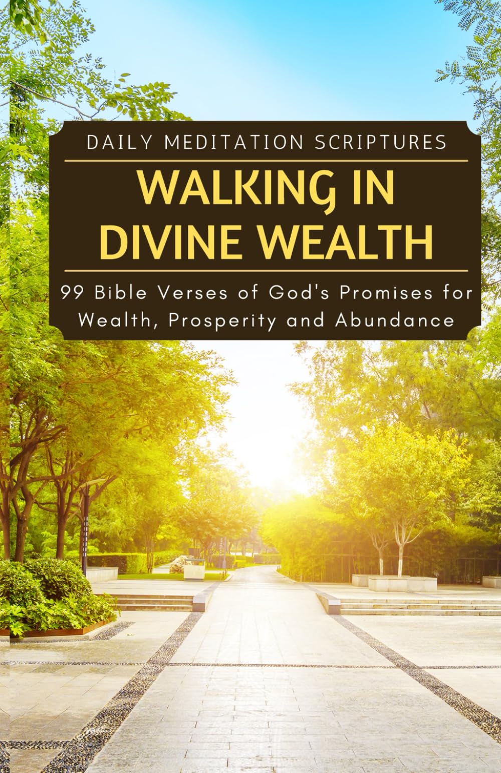 Walking in Divine Wealth: 99 Bible Verses of God's Promises for Wealth, Prosperity and Abundance (Daily Meditation Scriptures)