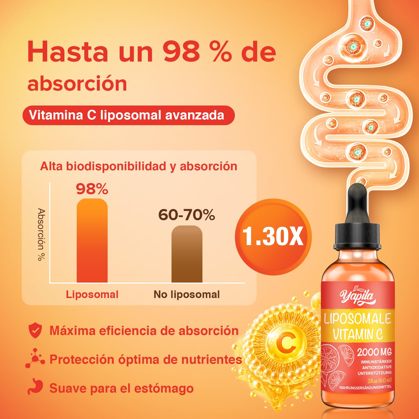 Vitamina C Liposomal 2000 mg, Suplemento Líquido con Ascorbato (6 Botellas) | Absorción Mejorada, Fórmula Vegana de Alta Potencia, Sin Gluten y Sin Soja