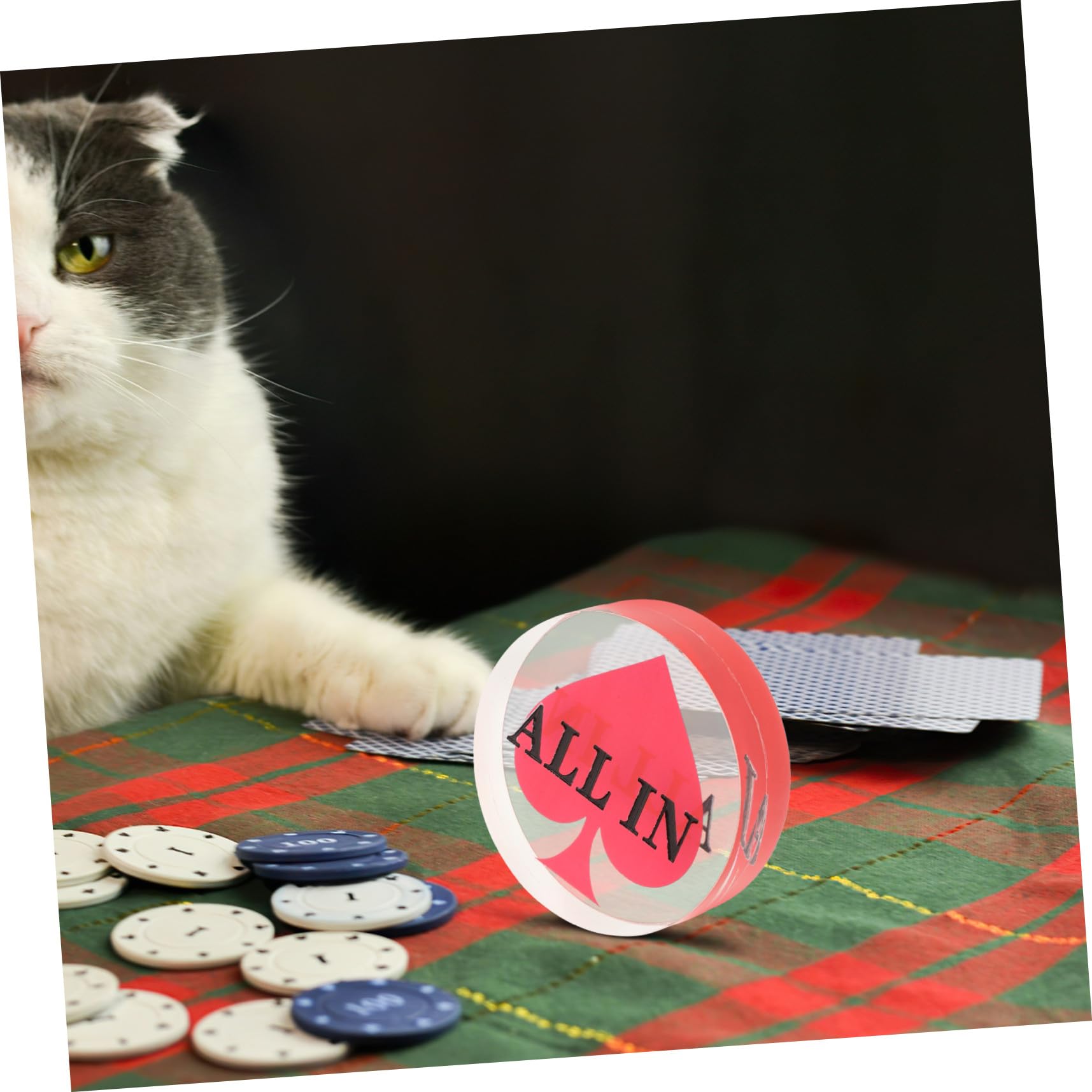 Abaodam Pulsante del Mazziere in Acrilico Doppio Lato per Carte da Gioco e Poker, Segnapunti per All-in e Black Jack